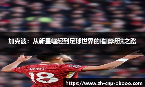 加克波：从新星崛起到足球世界的璀璨明珠之路