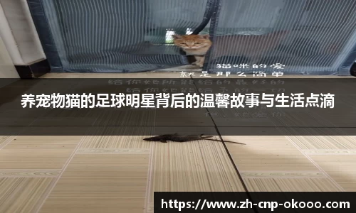 养宠物猫的足球明星背后的温馨故事与生活点滴